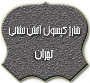 شارژ کپسول آتشنشانی