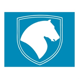 نحوه فروش اقساطی ایران خودرو